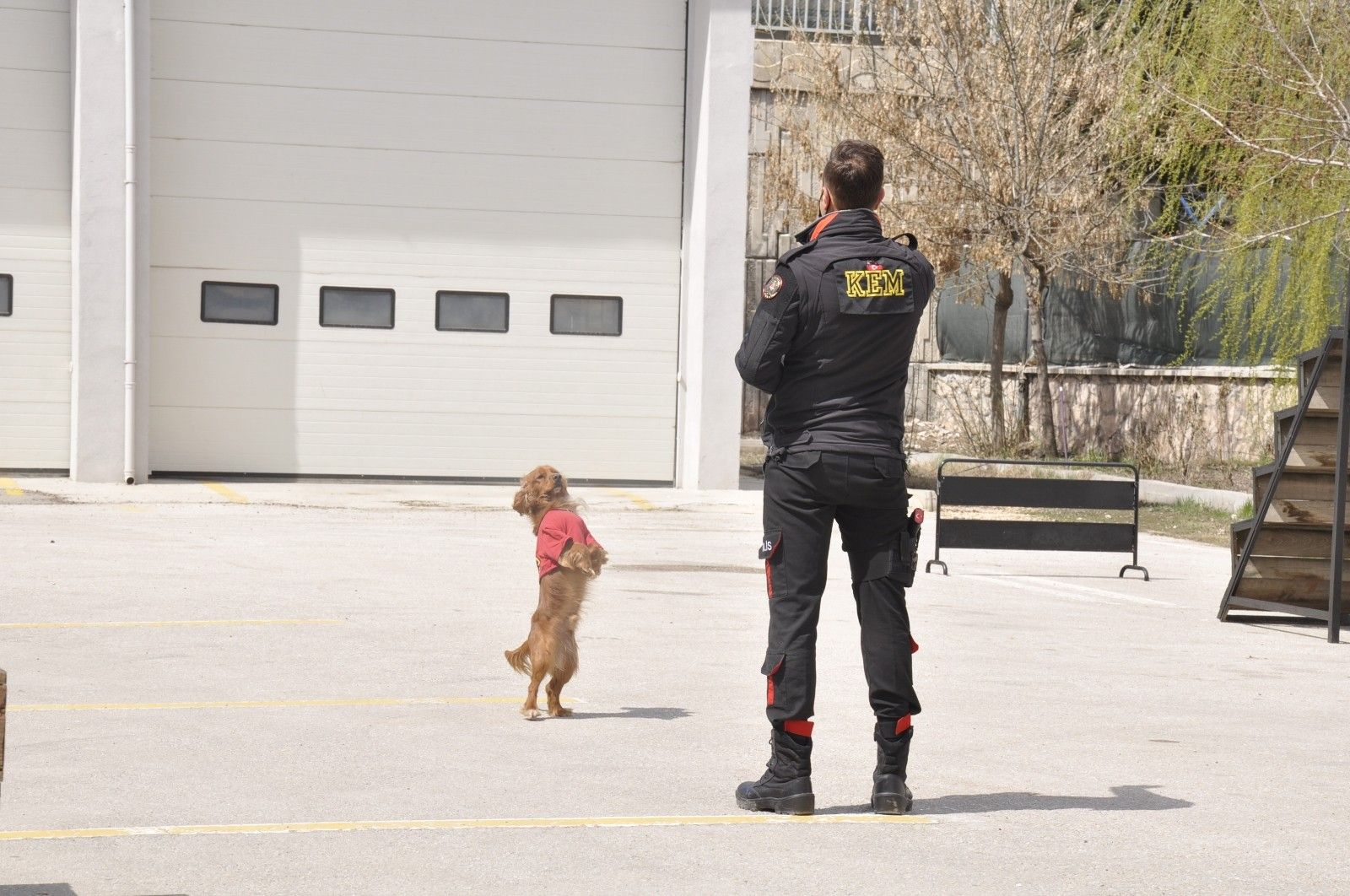 Sahne polis köpeklerinin