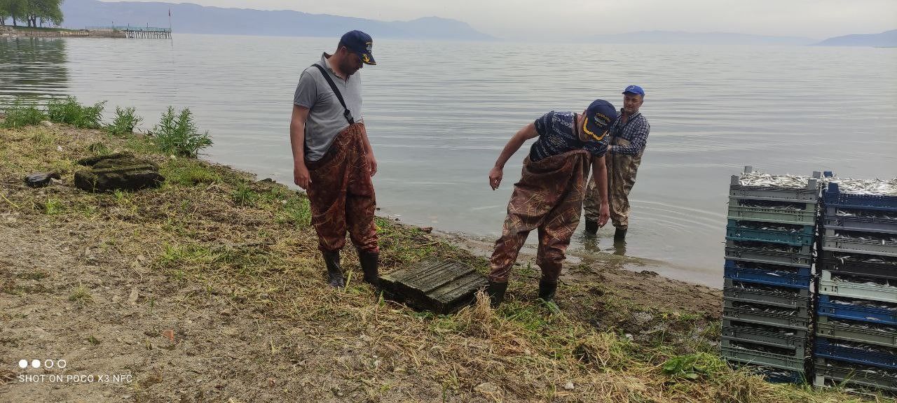 Ağlara 2 bin yıllık yazıt takıldı