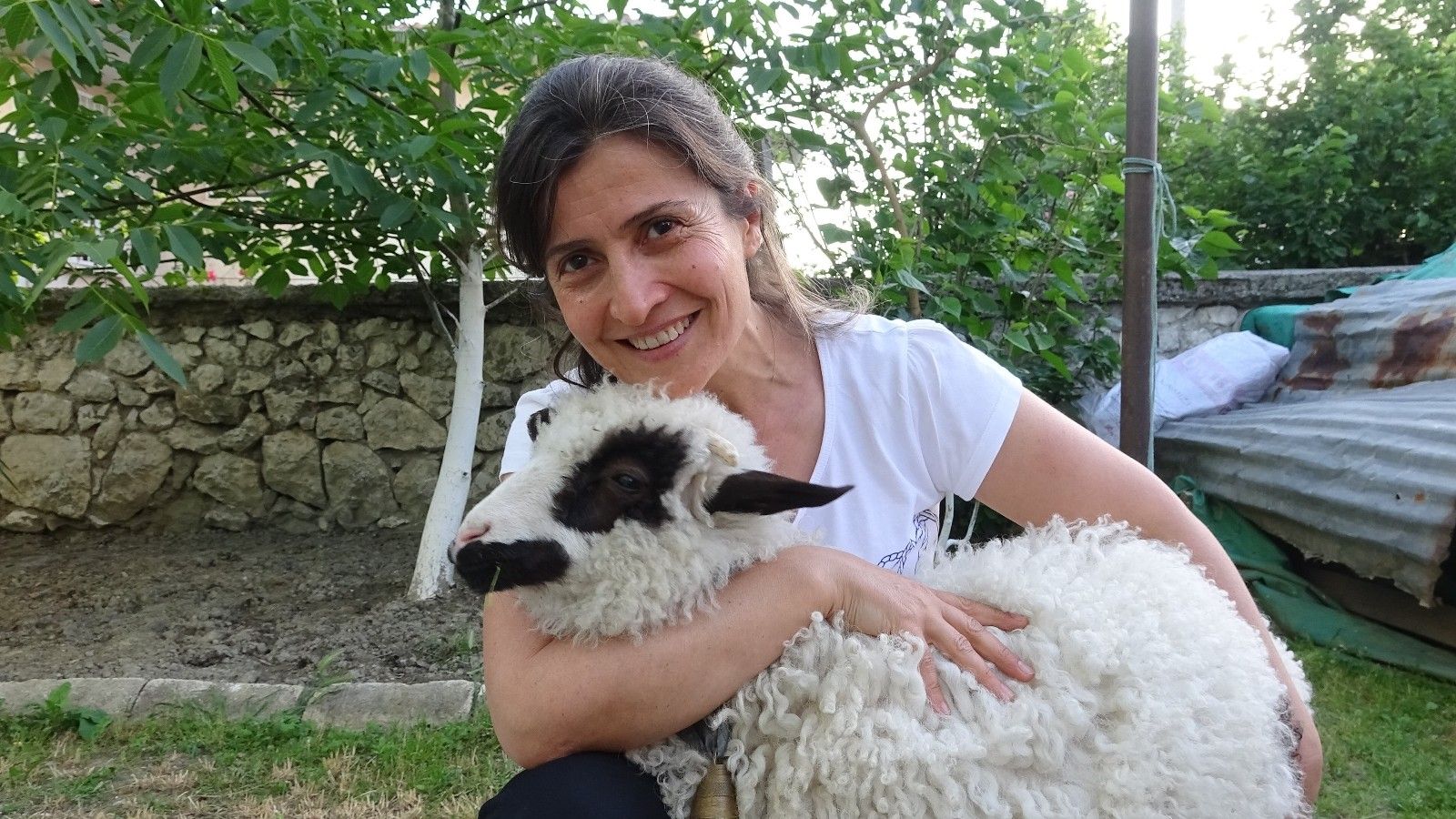 Annesinin reddettiği kuzuyu evinde besliyor