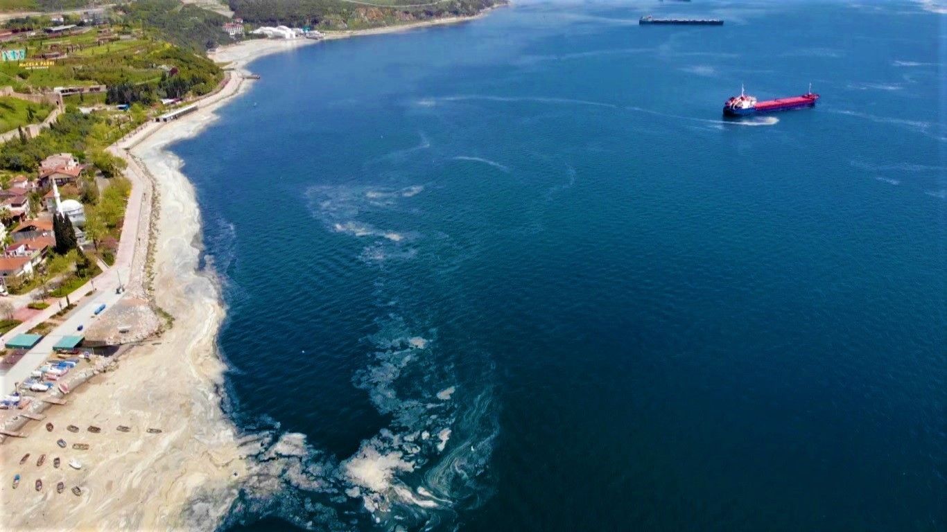 Deniz salyasını arındırmak için temizlik çalışması yapılıyor