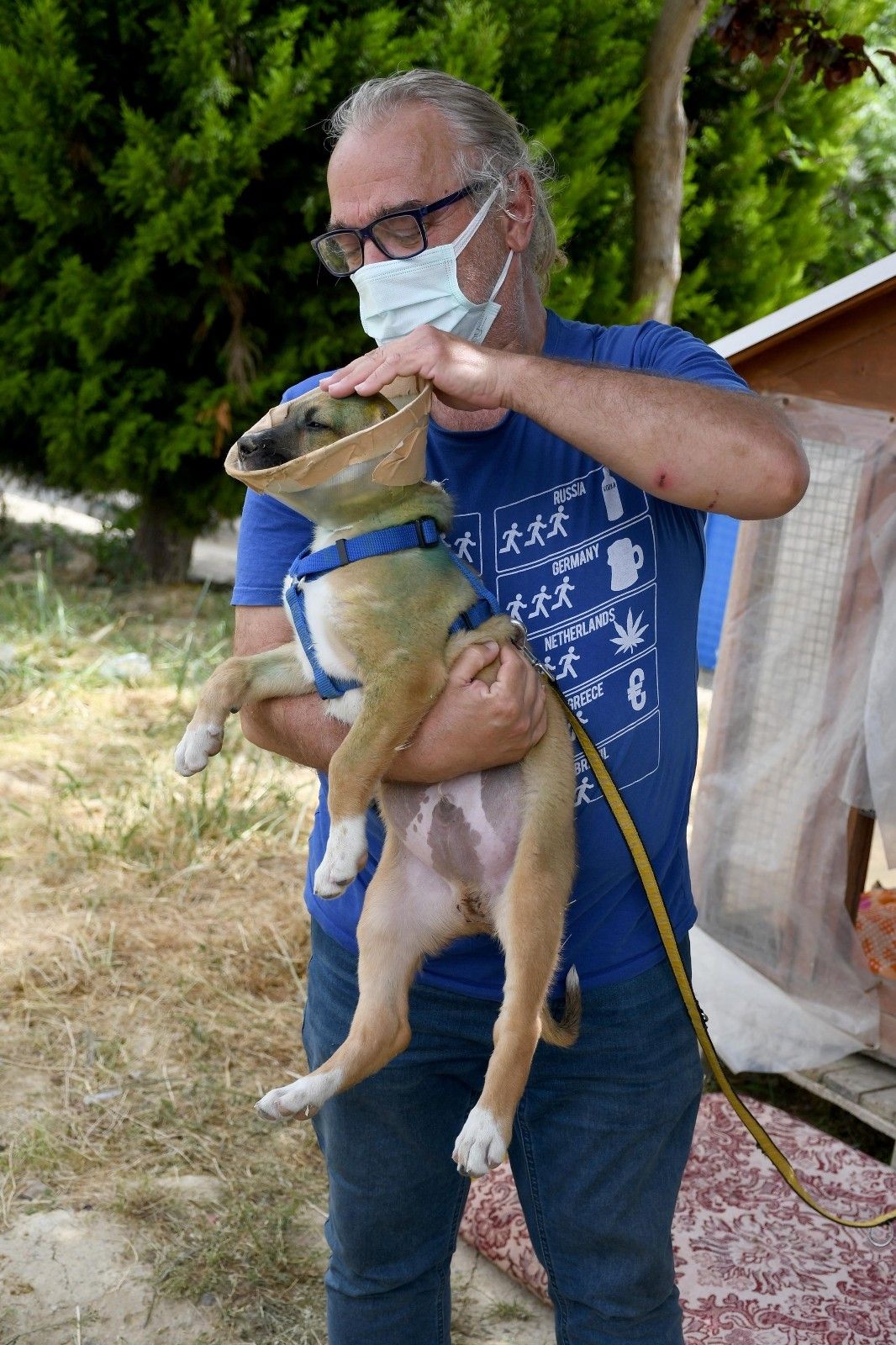 Kuşadası'nda köpeğin kulaklarını kesip attılar