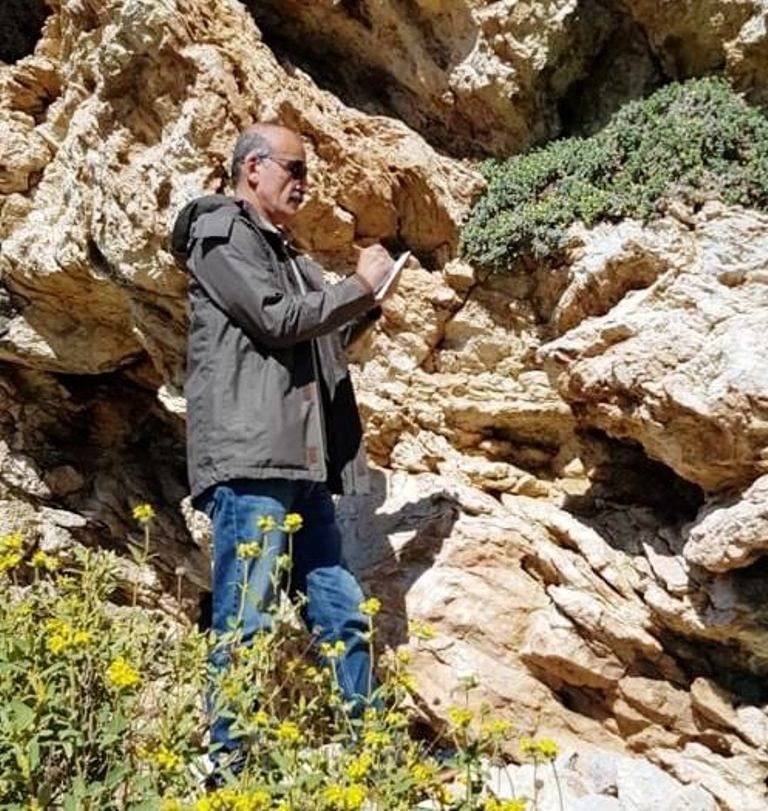 "Yalı Havacivası" yok olma tehlikesi ile karşı karşıya