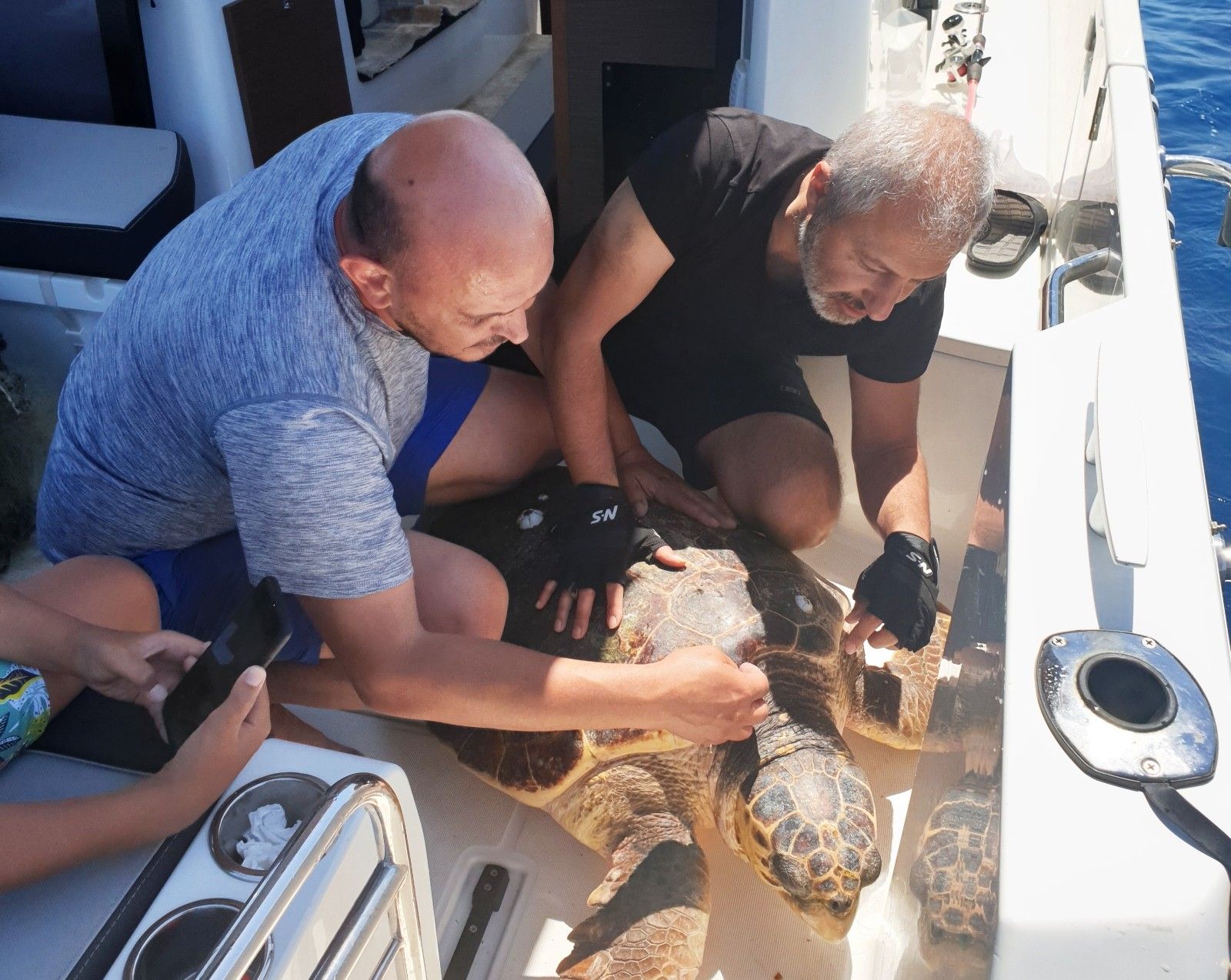 Zeynep'in dikkati, dev deniz canlısını kurtardı