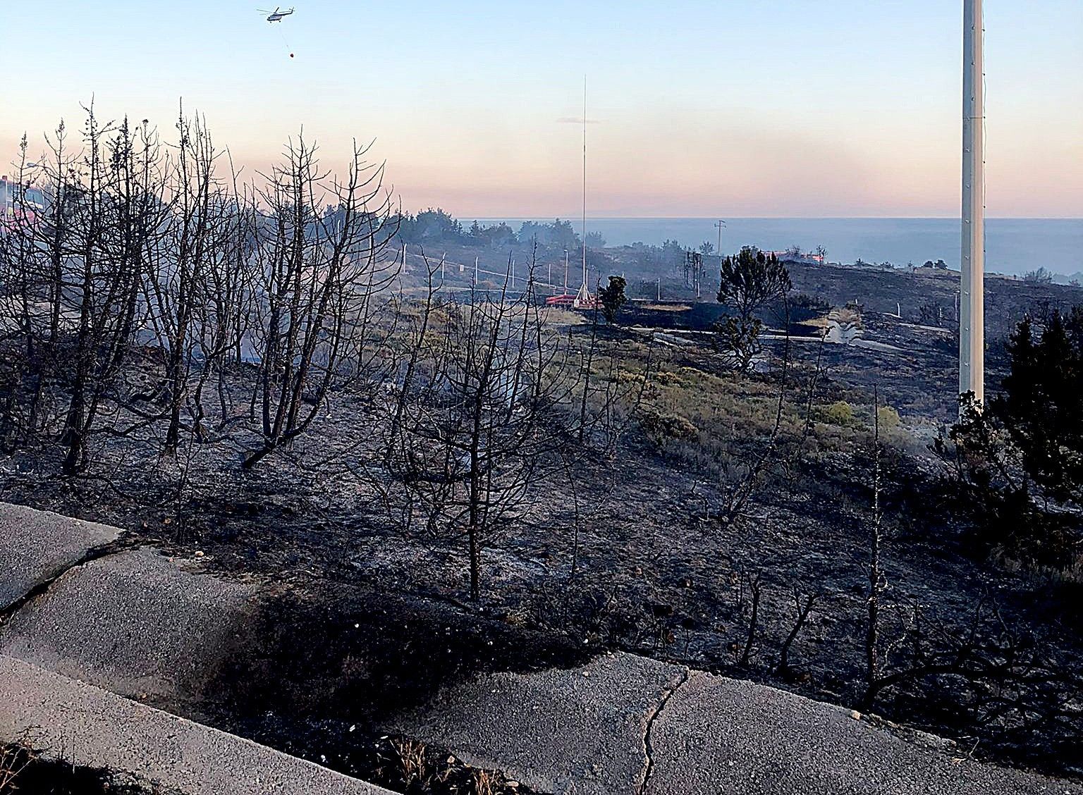 Çeşme Altınkum'da 20 dekar makilik alan yandı