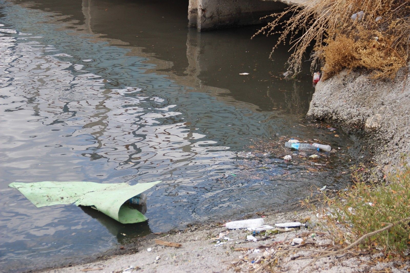 İzmir Körfezi'ndeki koku ve kirlilik artıyor