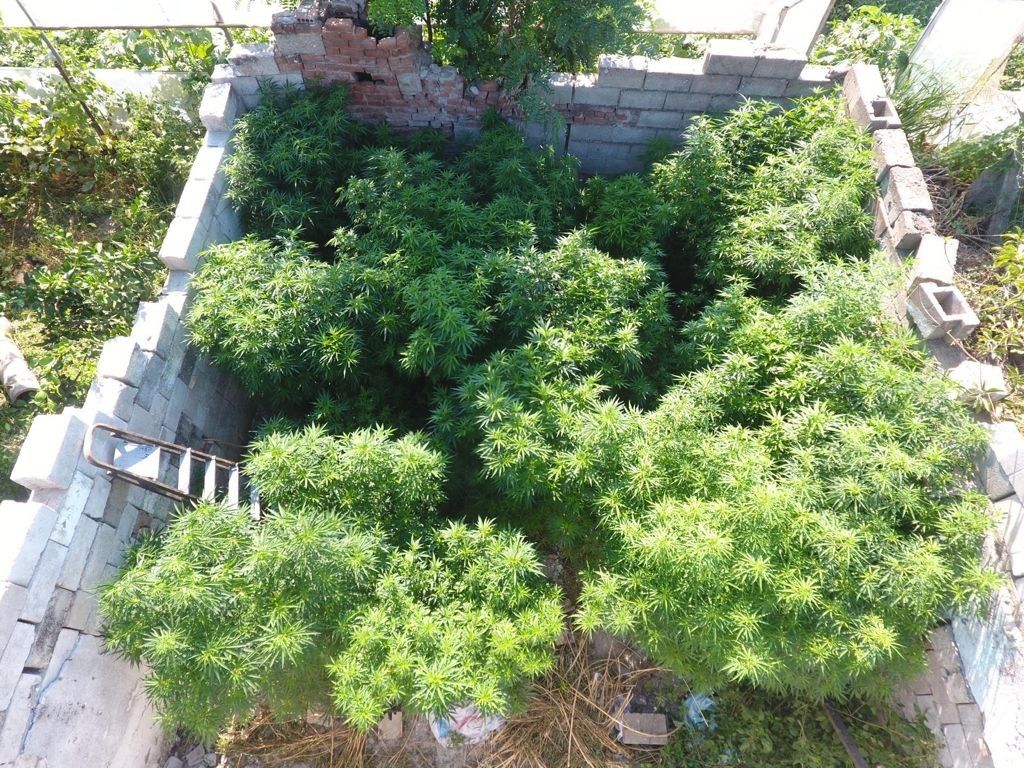 İzmir'de uyuşturucu operasyonu: 7 gözaltı