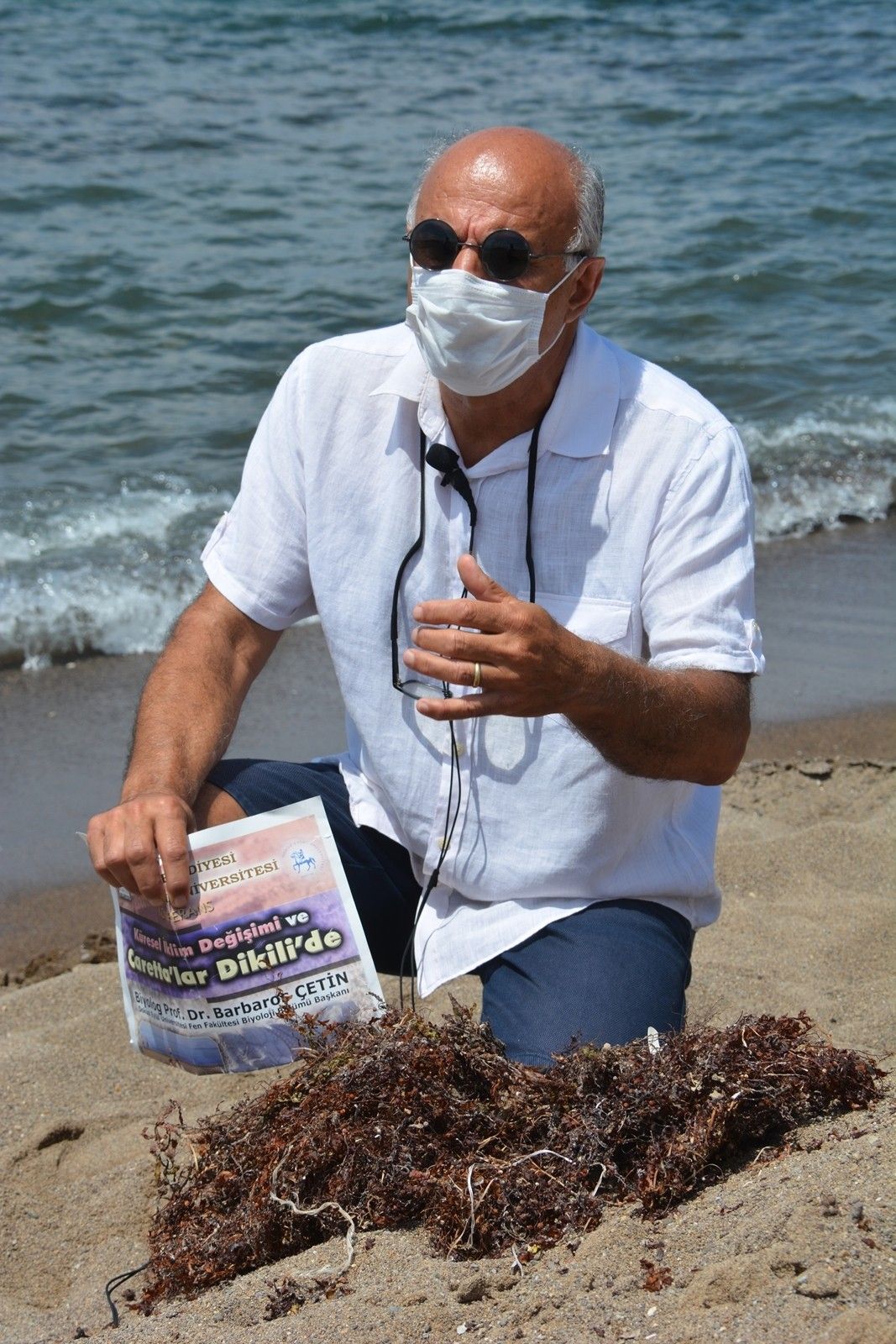 Marmara'da deniz salyası, İzmir'de Sargassum tehdidi
