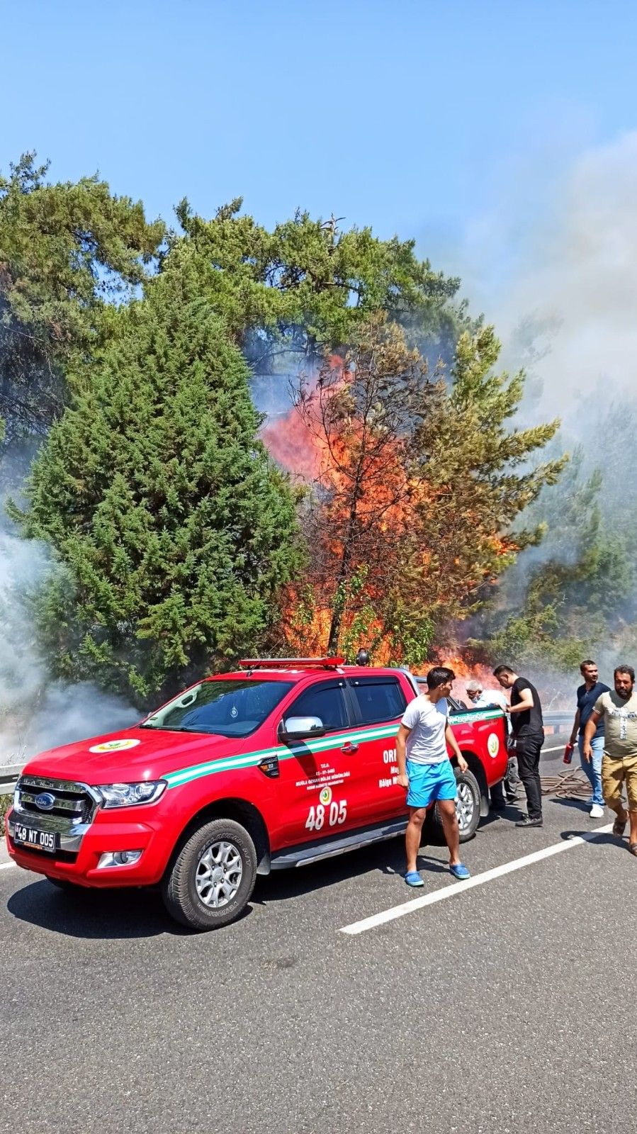 Muğla'da ormana sıçrayan yangın söndürüldü