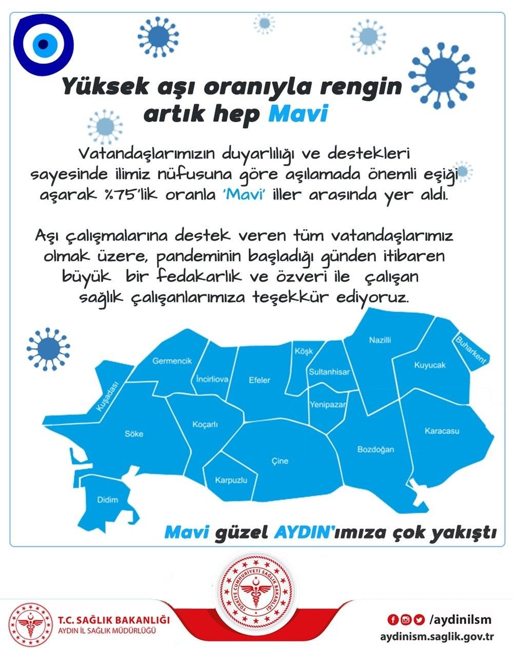 Aydın İl Sağlık Müdürü Açıkgöz: Mavi Aydın'a çok yakıştı