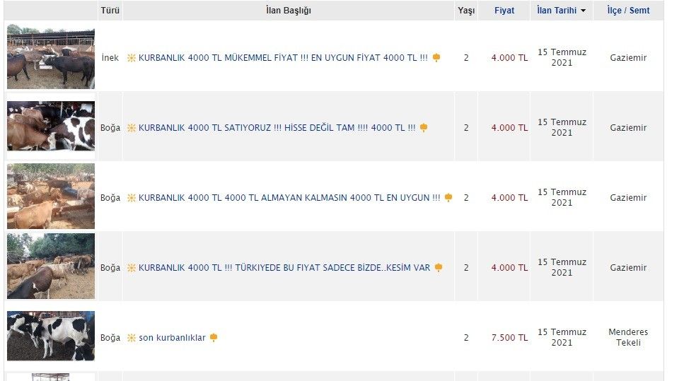 İnternet ilanıyla kurbanlık satışı