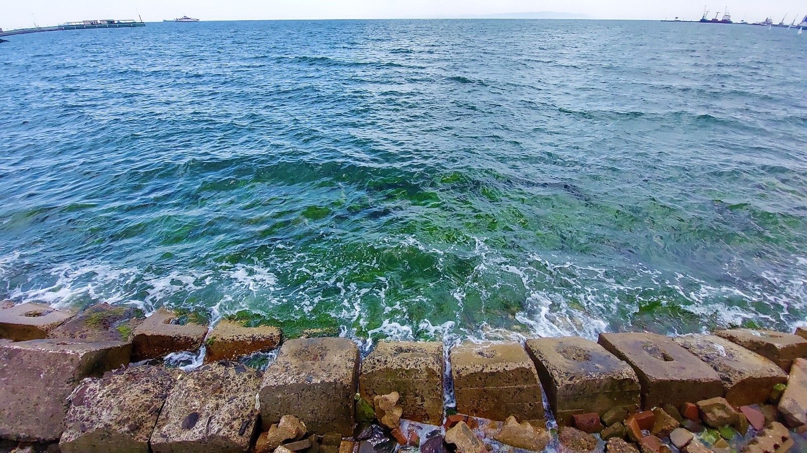 Salyanın başladığı Tekirdağ'da deniz bir haftadır pırıl pırıl