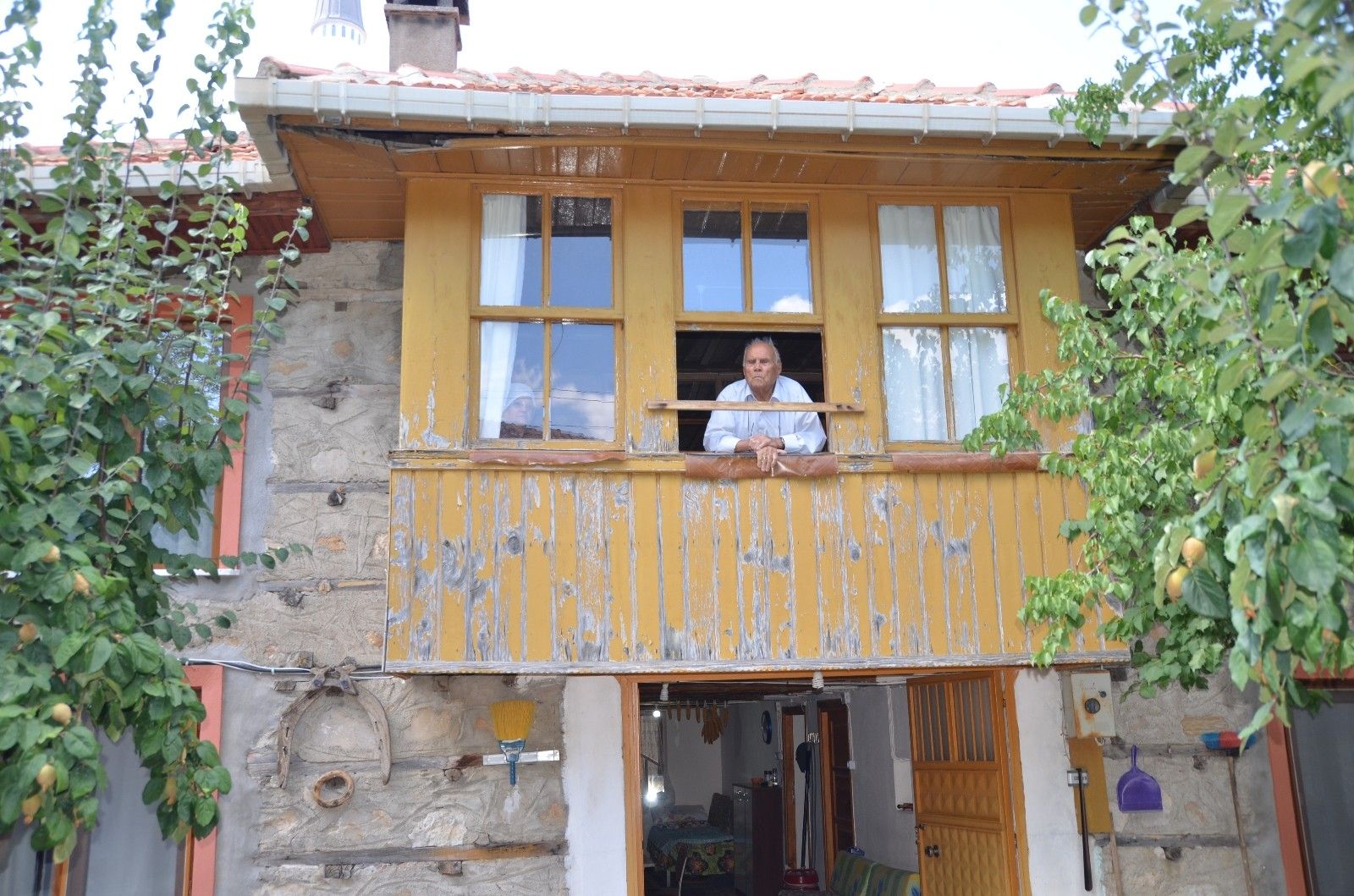 Asırlık çınardan aşı çağrısı "Aşıdan korkmayınız"