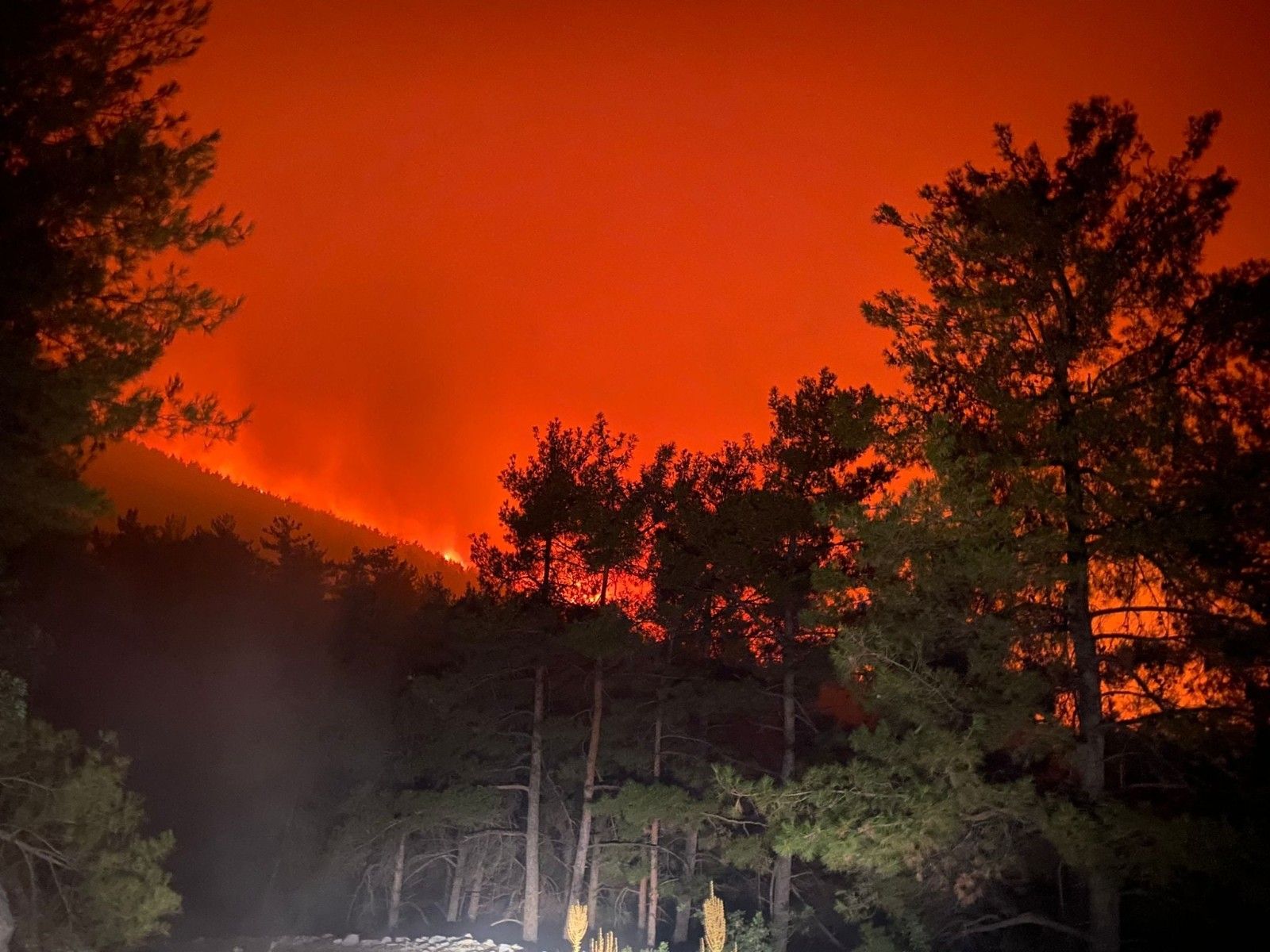 Bodrum'un ünlü sahili Mazı boşaltılıyor