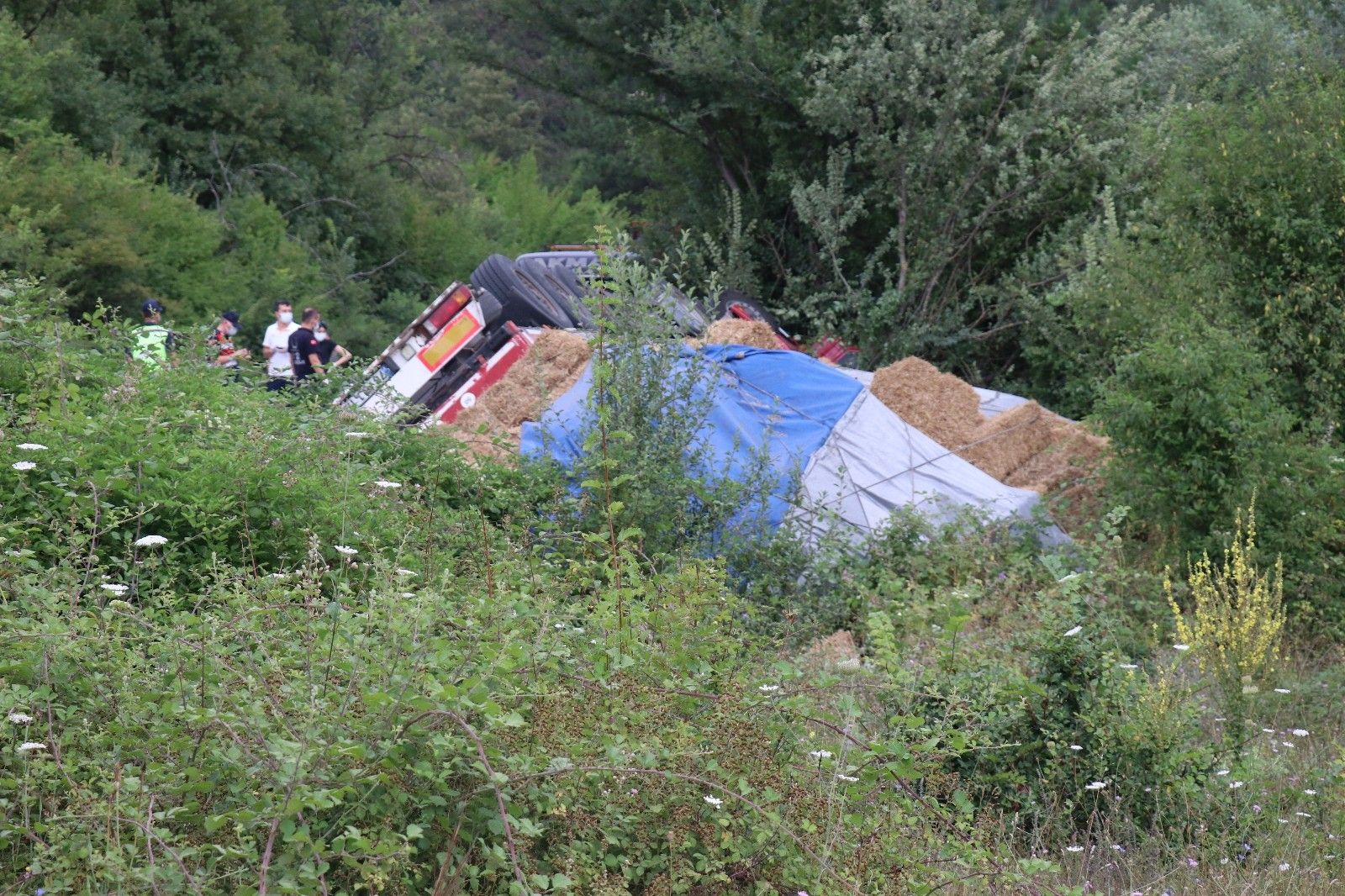 Bolu'da, tır şarampole devrildi, sürücü hayatını kaybetti