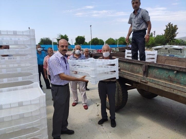 İncirin kalitesini arttıracaklar