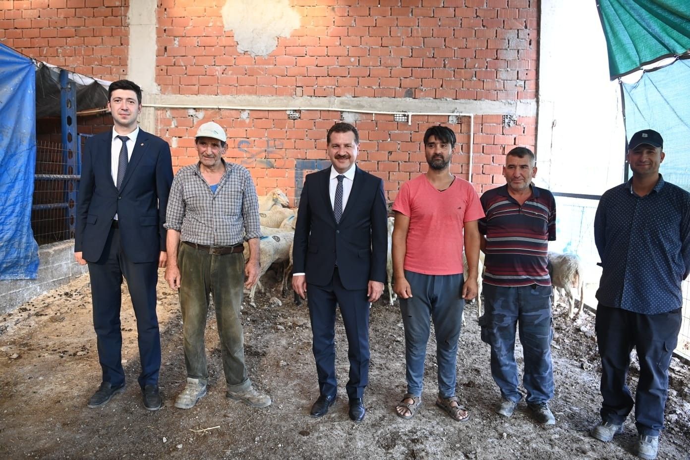 Koyunları yanan çiftçiye destek