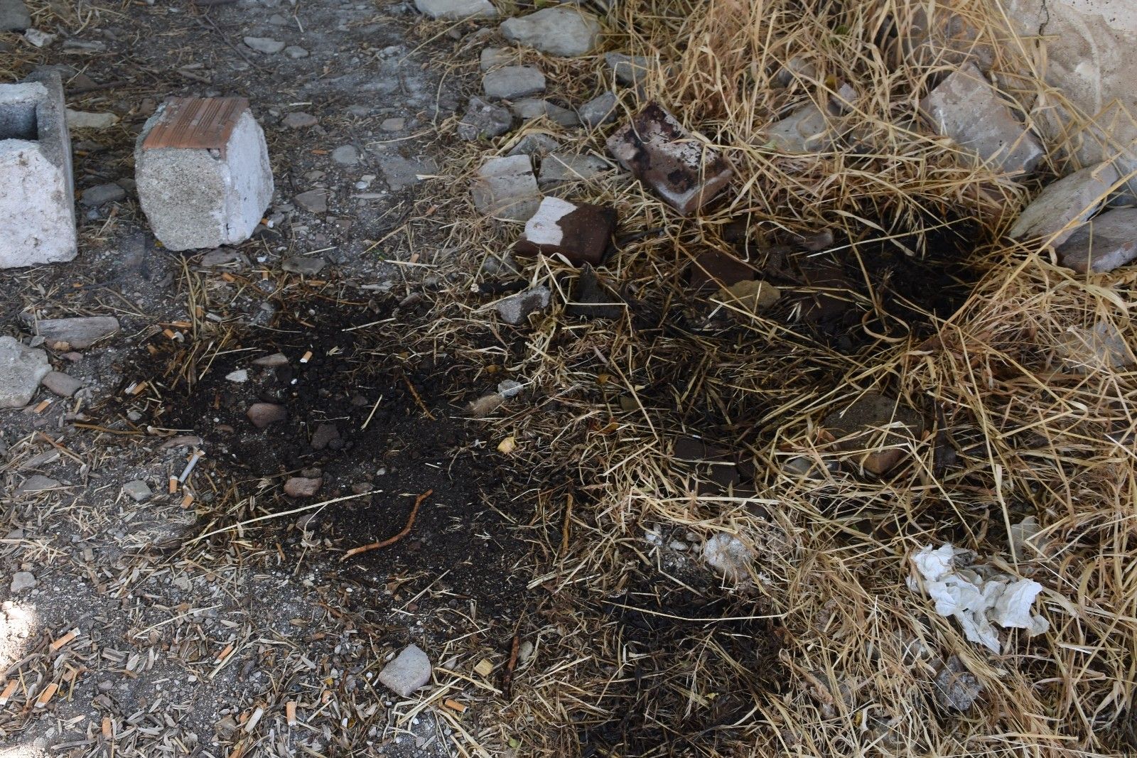 Urla'daki baltalı cinayetin zanlısı her yerde aranıyor