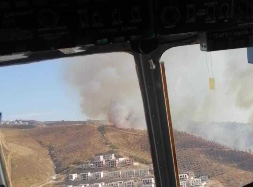 İzmir'de çıkan yangın kontrol altına alındı