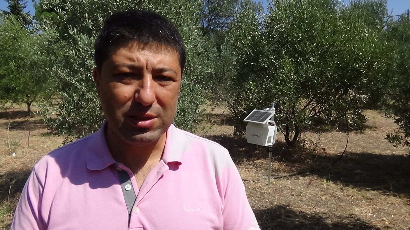 Zeytinliklere daha az ilaç daha iyi koruma