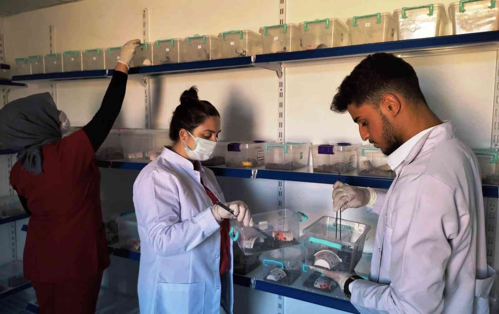 ABD'ye 10 milyon dolarlık zehir sattık