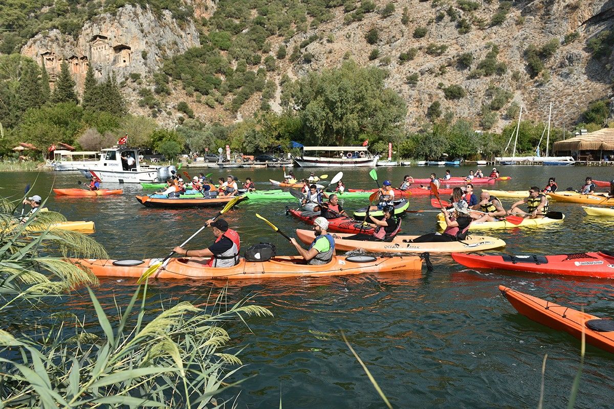 Deniz kaplumbağalarının "annesi" için şükran geçişi