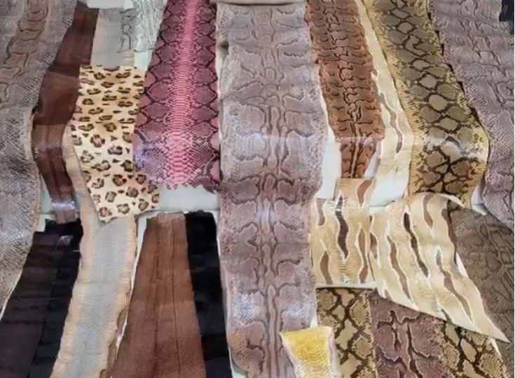 Kaçak getirilen 31 yılan derisi ele geçirildi