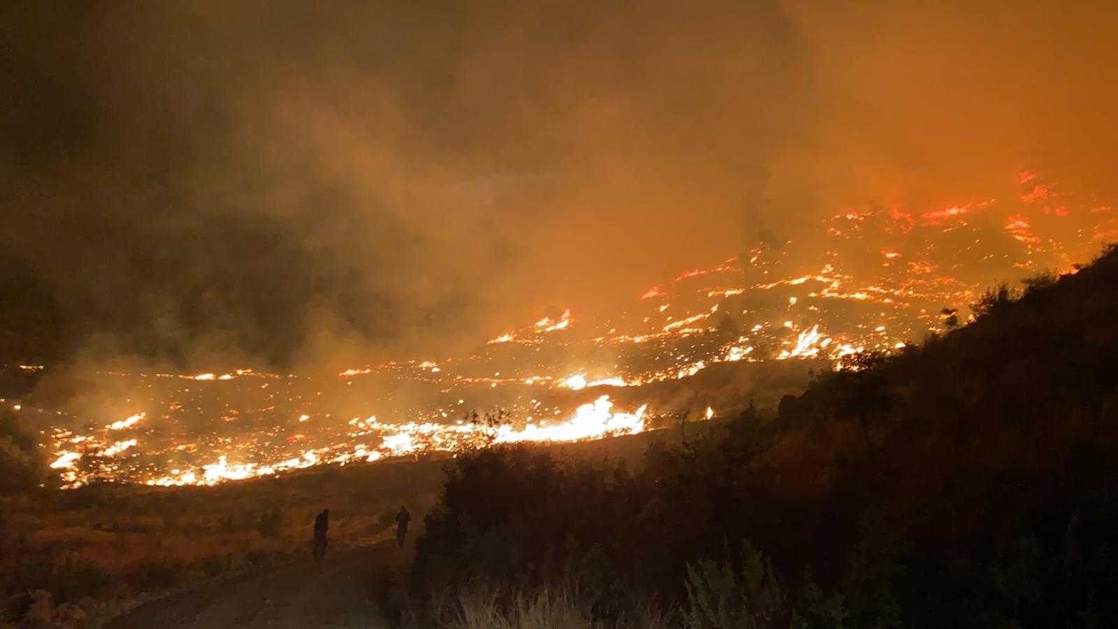 Muğla'da orman yangınına havadan karadan müdahale