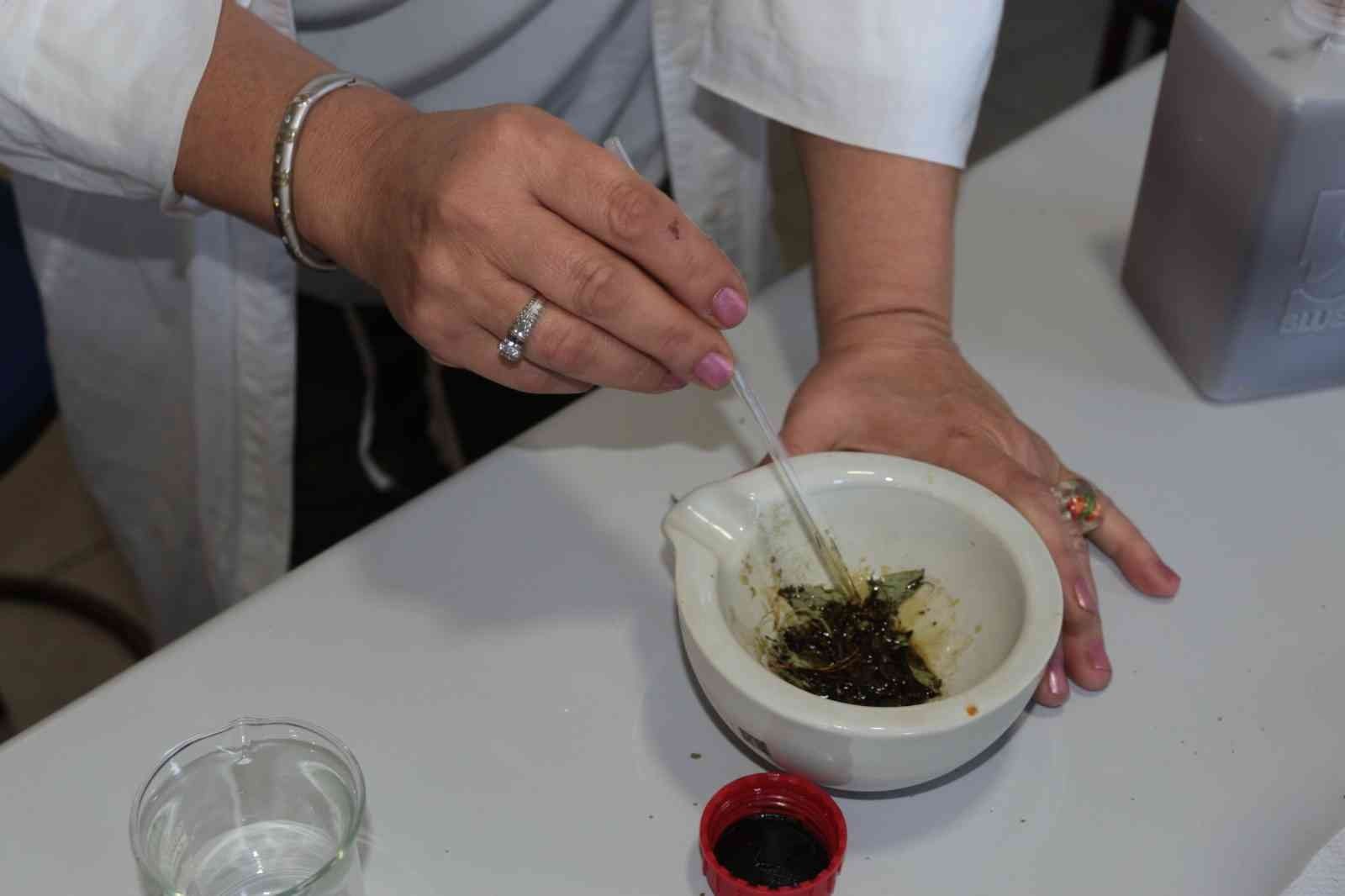 Savunma sanayisine şeker otu