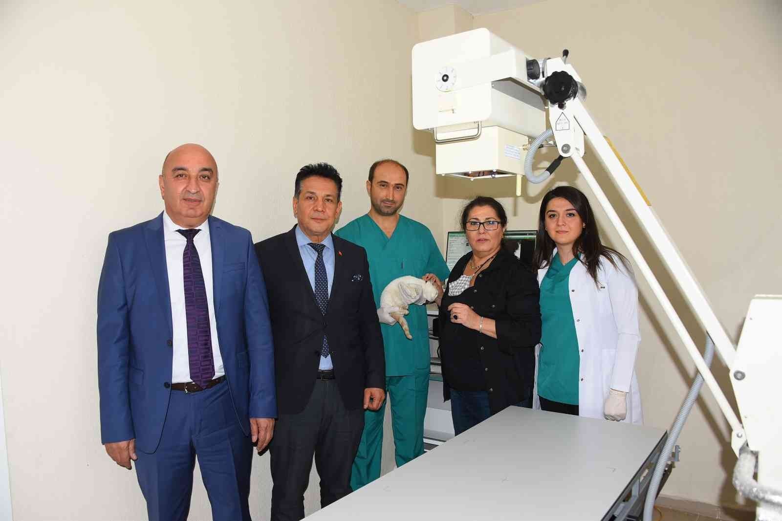 Sokak hayvanlarına teknolojik tedavi