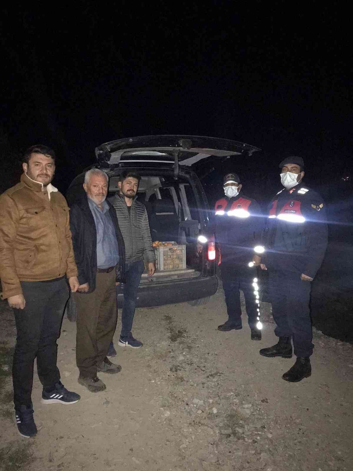 Cennet elması hırsızları ağaç dalında yakalandı