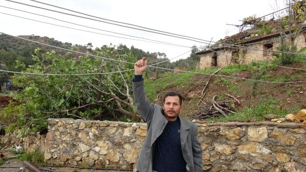 Fırtına ve hortumdan 15 ev zarar gördü, ağaçlar devrildi