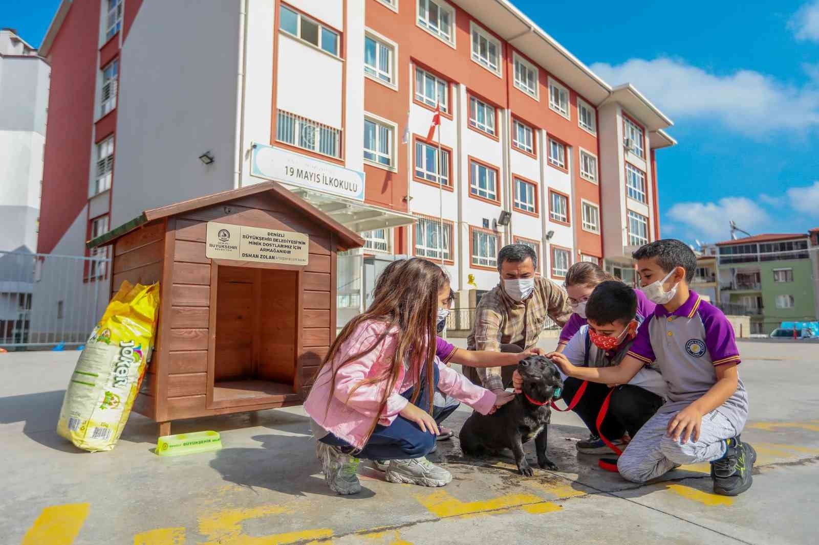 Her okula bir sokak köpeği