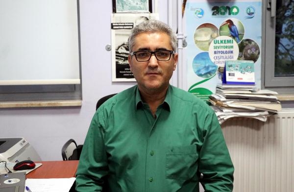 Sıcaklık 1 derece artarsa carettalar dişi doğacak