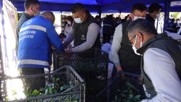100 bin ata tohumu fidesi yarım saatte tükendi