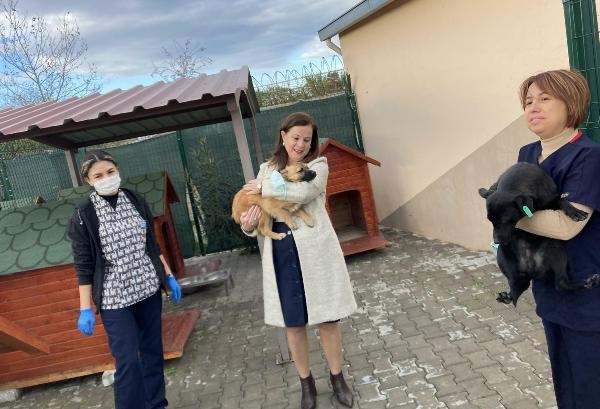 Balçova'da hayvan bakımevi denetimi