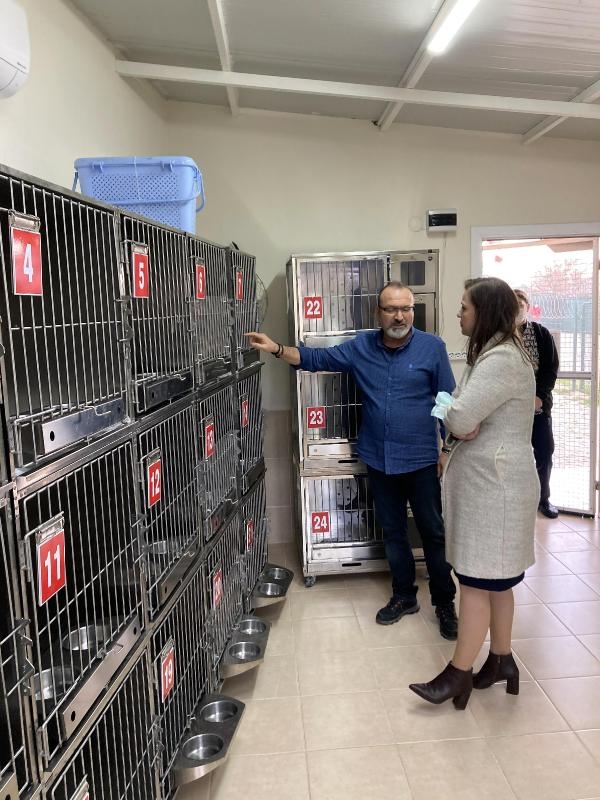 Balçova'da hayvan bakımevi denetimi