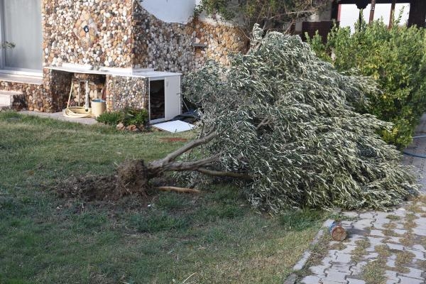 Çeşme'de yaşanan hortum sonrası hasar tespit çalışması başladı