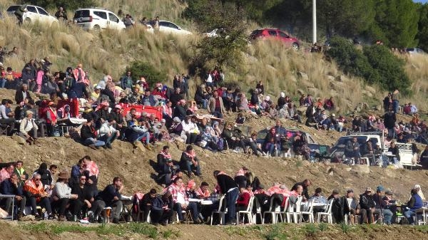 Koçarlı'da develer bir yıl aradan sonra güreşti