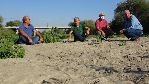 Kuruyan Büyük Menderes eski günlerine döndü