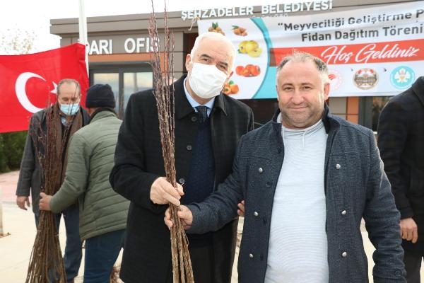 Şehzadeler'de üreticilere 9 bin 360 adet kayısı fidanı dağıtıldı
