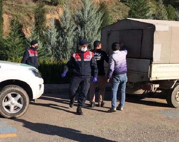 Yaralı bulunan köpek için jandarma seferber oldu