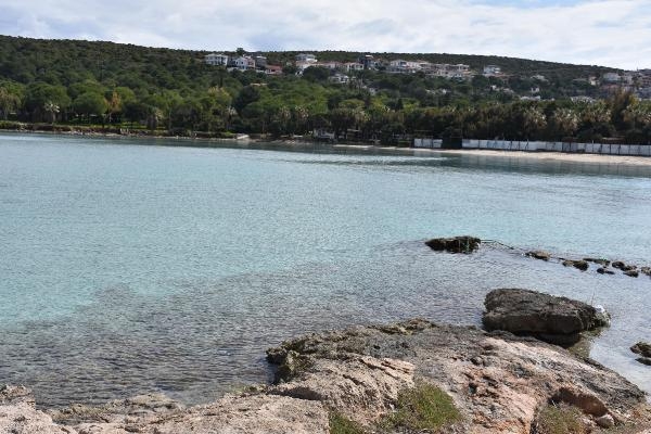 Çeşme'de o arsaların vasiyete rağmen satışa çıkarılmasına tepki