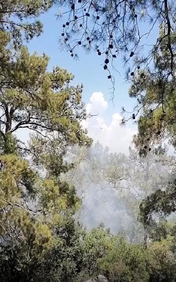 Fethiye'de orman yangını! Havadan müdahale edildi