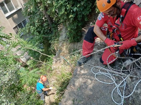 Konak'ta apartmanın üzerine devrilen ağaç kaldırıldı