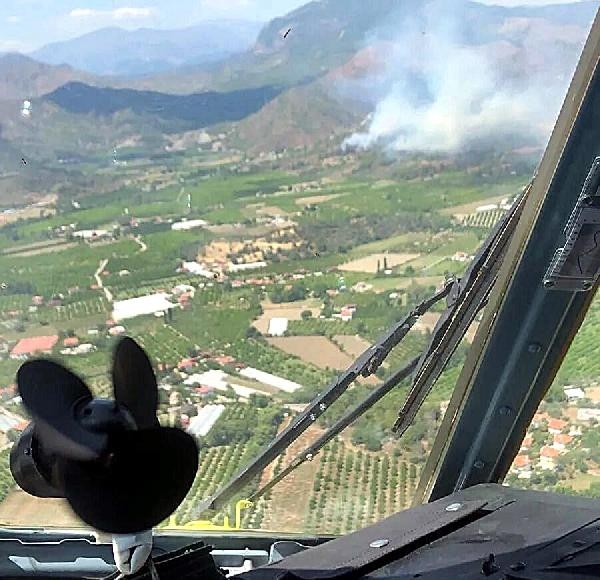 Muğla'da orman yangını