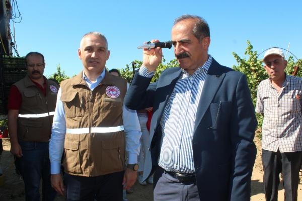 Alaşehir'de üzüm ihracatı başladı, ilk TIR'lar yola çıktı