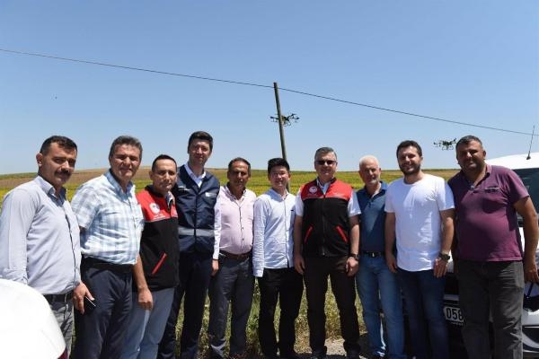 Balıkesir'de çayır tırtıllarına karşı ZİHA'lar ile mücadele ediliyor