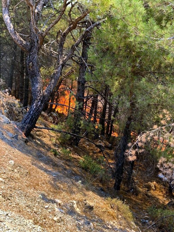 Datça'da deniz manzaralı orman yangını