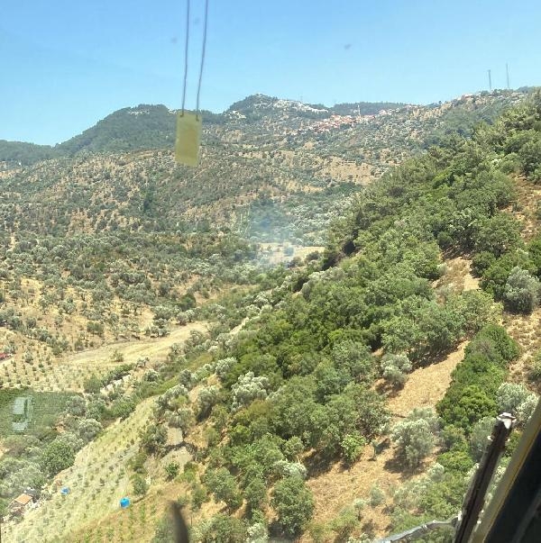 İzmir'de iki orman yangını