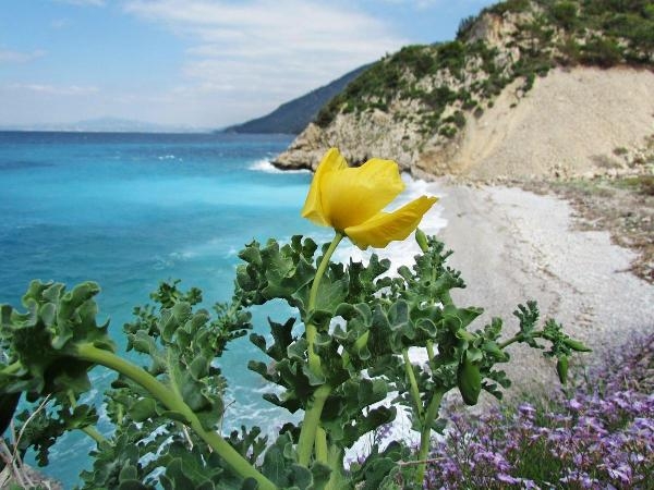 Kuşadası'nda 'Milli Park Yanmasın' kampanyası